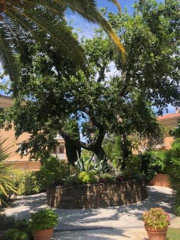 Belle Residence Au Centre De Saint Tropez Avec Piscine Et Garage מראה חיצוני תמונה